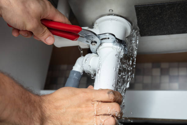 Best Water damage restoration process  in Highland City, FL