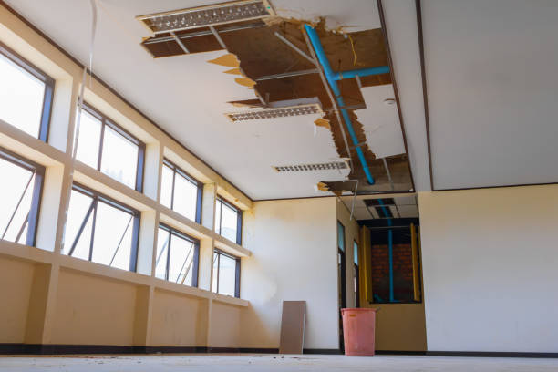 Best Flood damage cleanup  in Highland City, FL