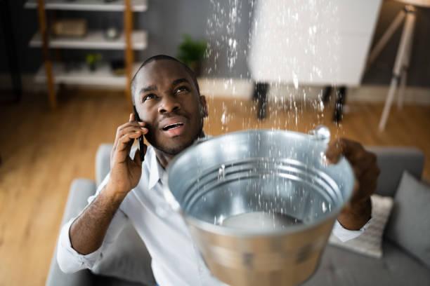Best Fire Damage Restoration  in Highland City, FL