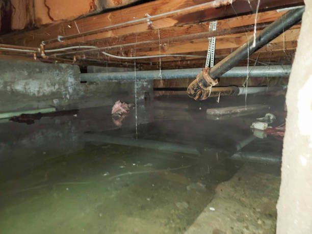 Best Emergency water damage restoration  in Highland City, FL