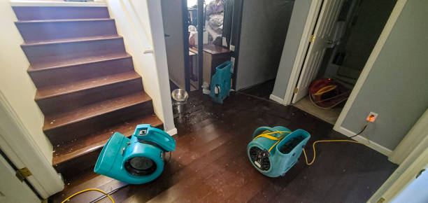 Best Water damage cleanup near me  in Highland City, FL