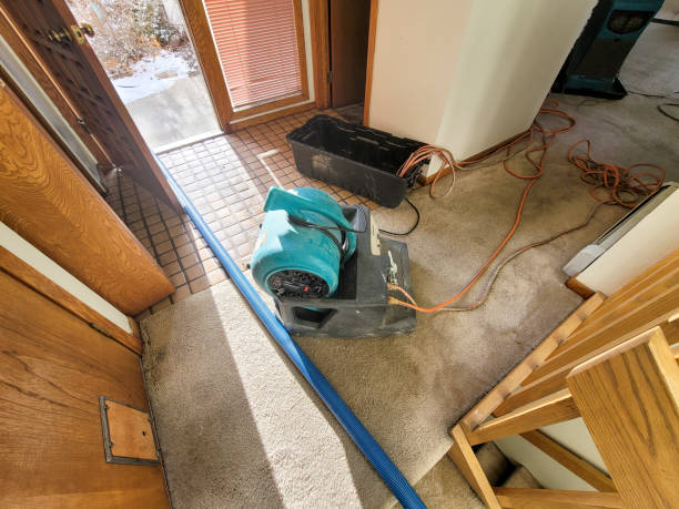 Best Commercial water damage restoration  in Highland City, FL