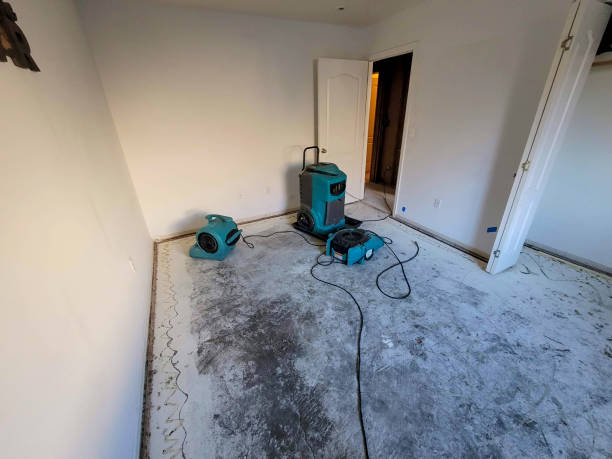 Best Water damage restoration near me  in Highland City, FL