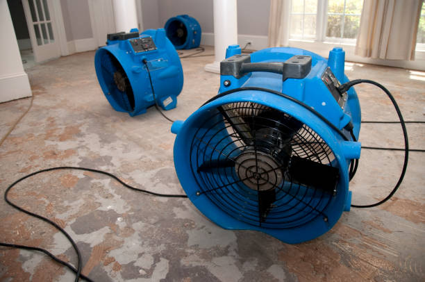 Best Flood restoration services  in Highland City, FL