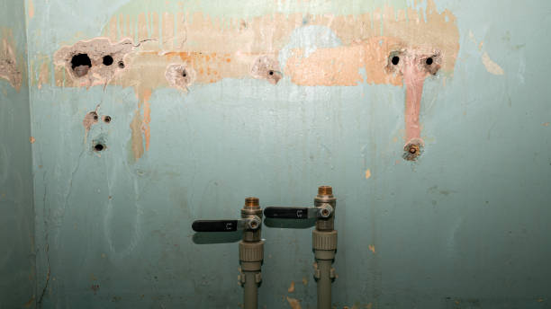 Best Carpet water damage restoration  in Highland City, FL