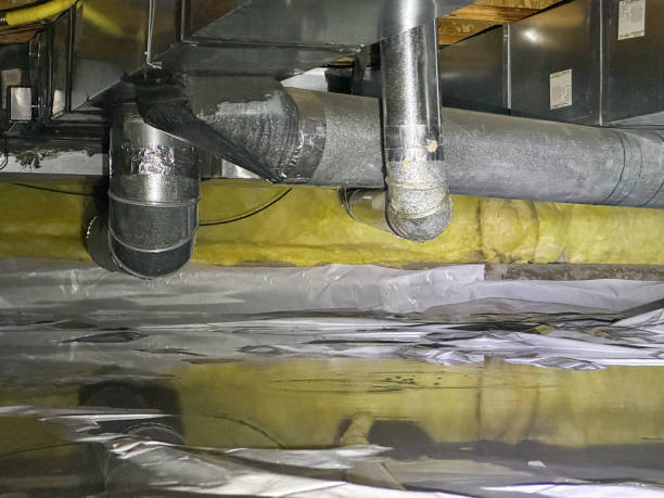 Best 24-hour water damage restoration  in Highland City, FL