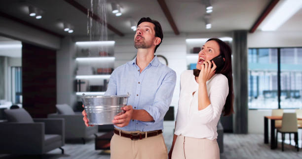 Carpet water damage restoration in Highland City, FL