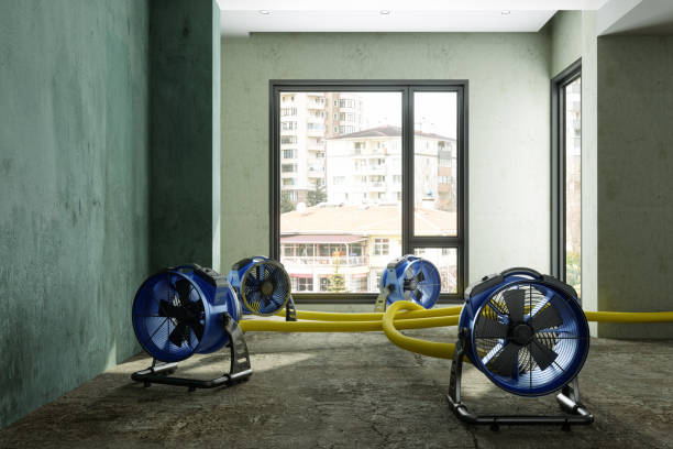 Best Basement water damage restoration  in Highland City, FL